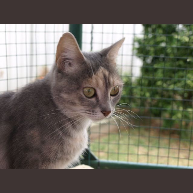 Photo of Nevaeh Location Albury 