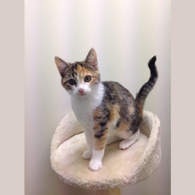 Photo of Odette