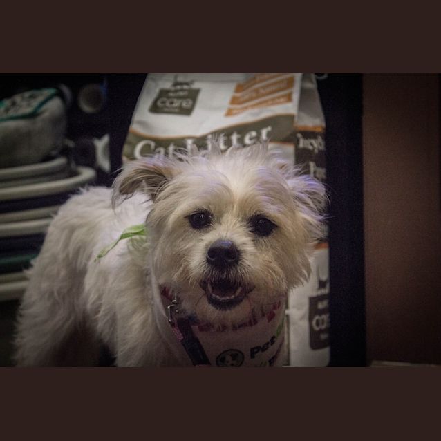Photo of Molly