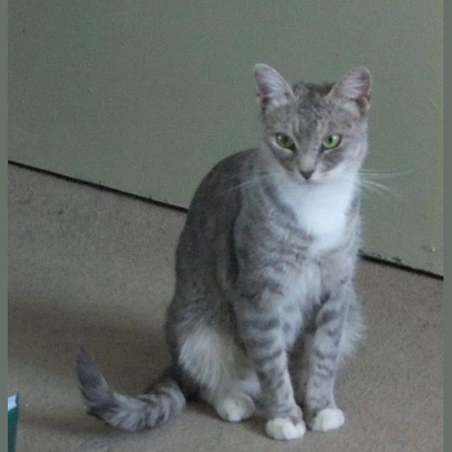 Photo of Mia