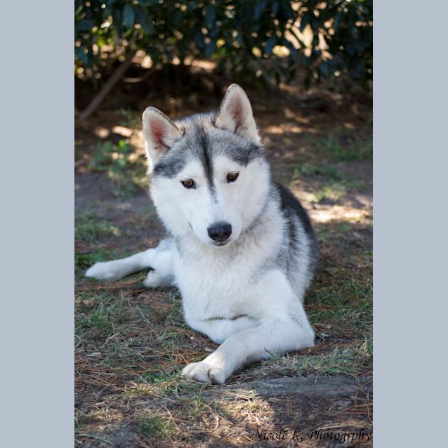 Photo of Oska