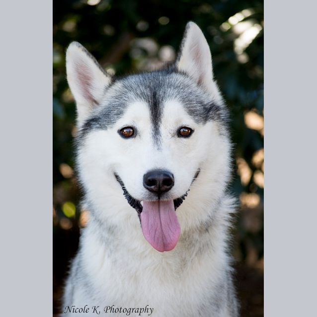 Photo of Oska