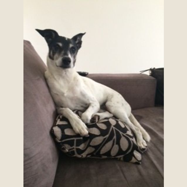 Photo of Bambi ** I'm Just $200! ** 