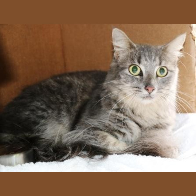 Photo of Lucky