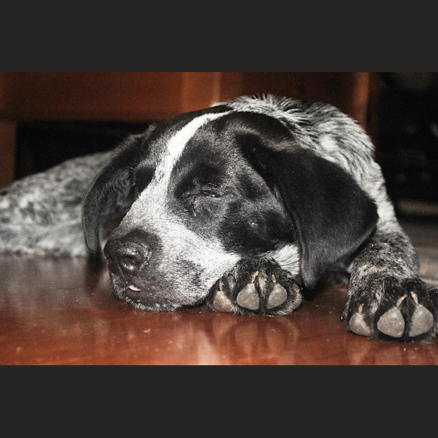 Photo of Ted