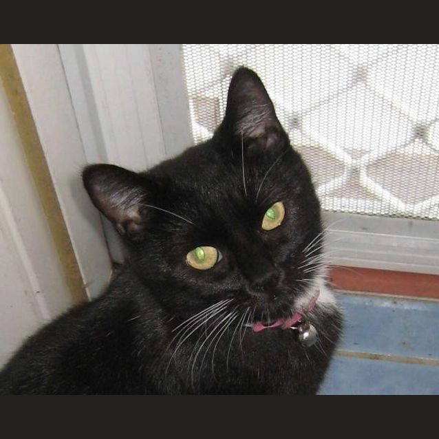 Photo of Martha