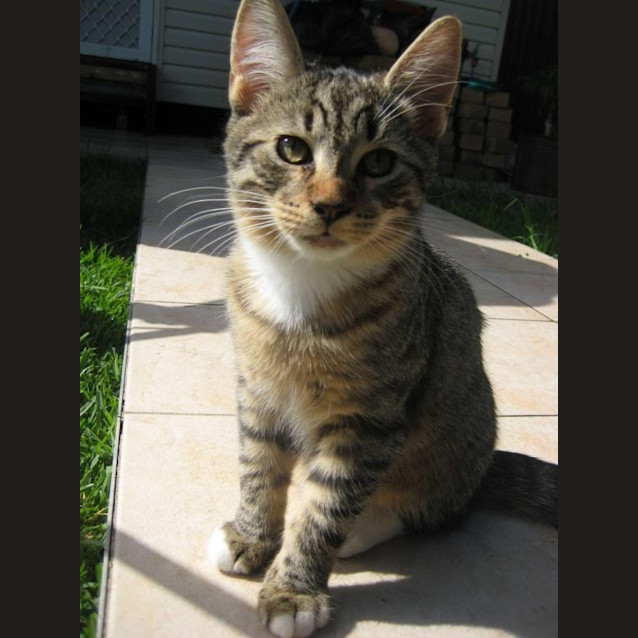 Photo of Bolt