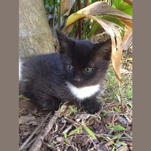 Photo of Bentley