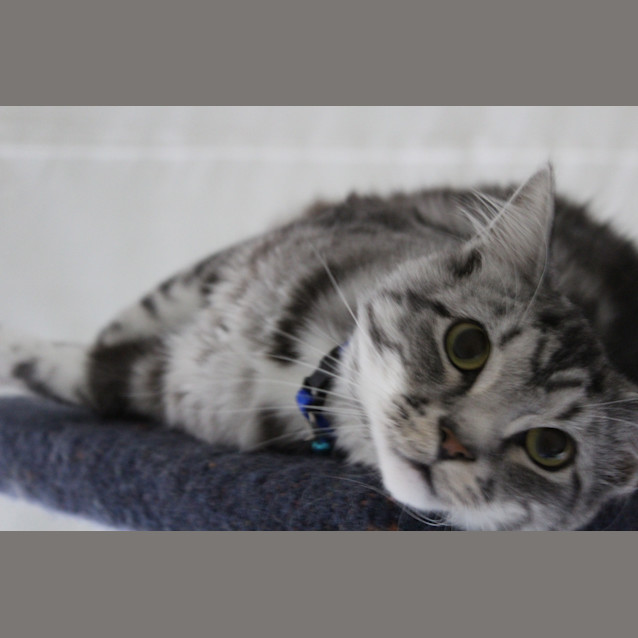 Photo of Tex