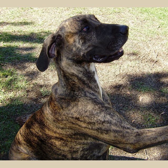 Photo of Zena