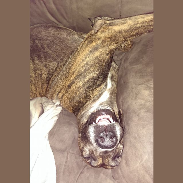 Photo of Zena
