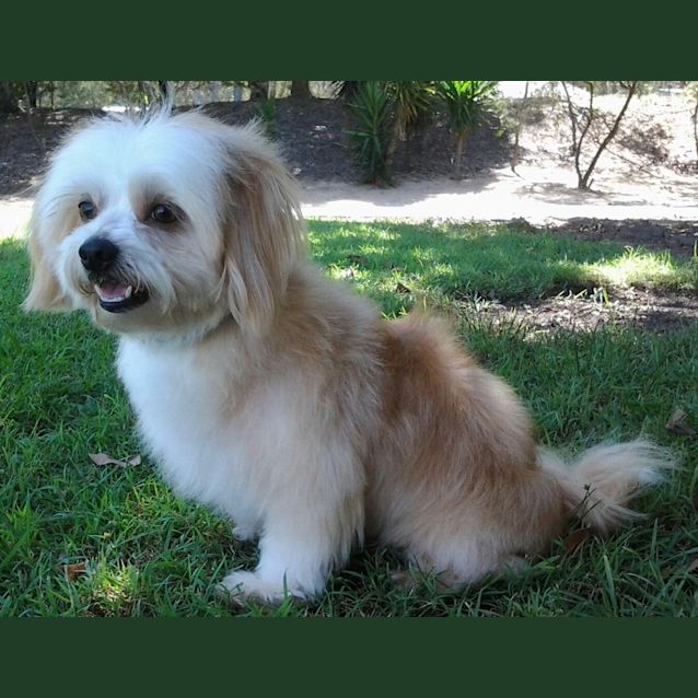 Photo of 095 1455 Rusty