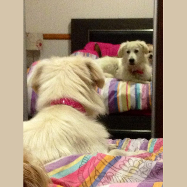 Photo of Lilah 