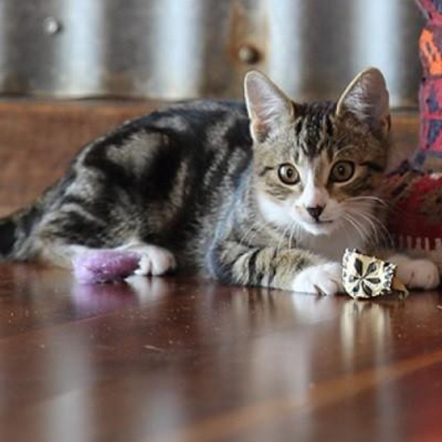 Photo of Luna
