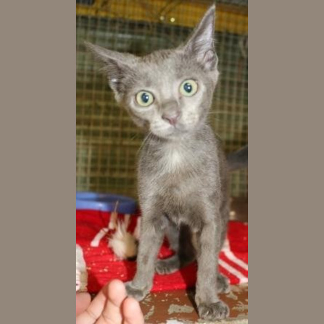 Photo of Storm