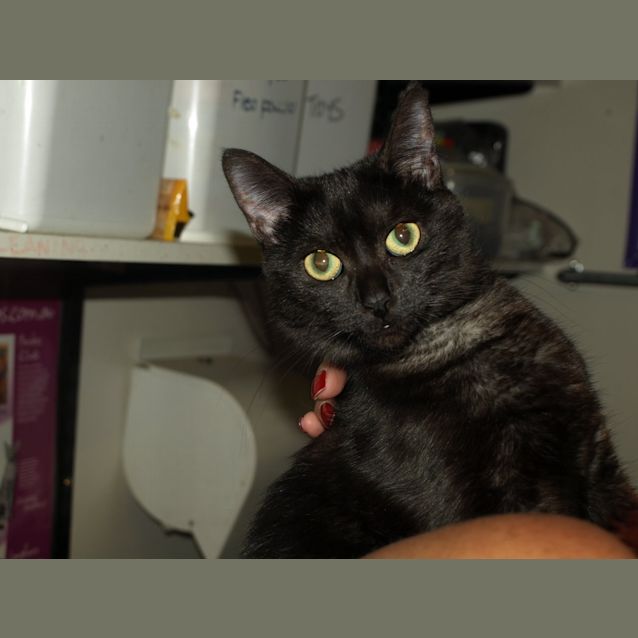 Photo of Wanda