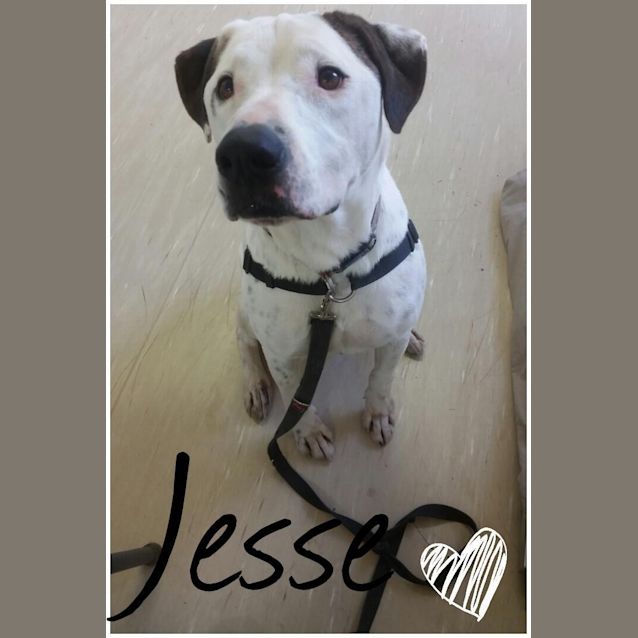 Photo of Jesse