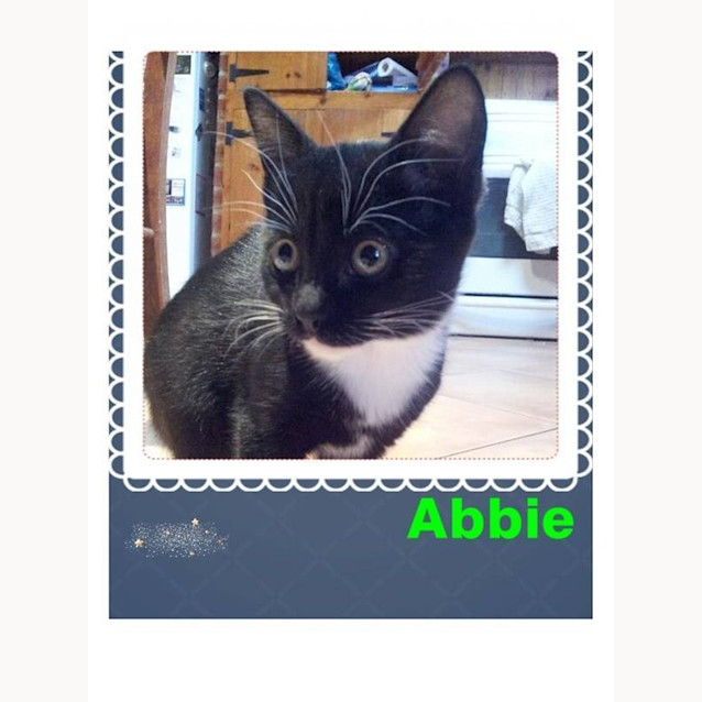 Photo of Abbie