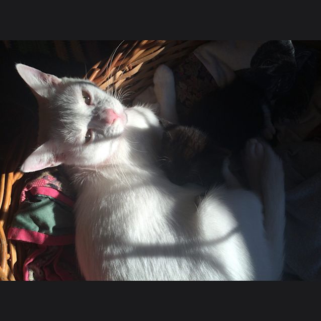 Photo of Molly