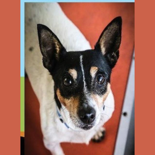 Photo of Frankie ** A Prescious Boy **