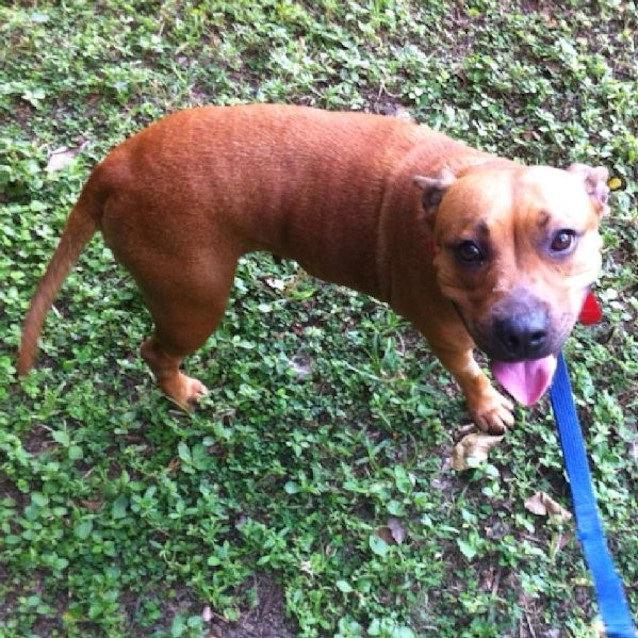 Photo of Jazz