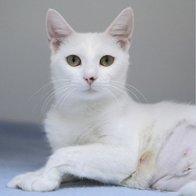 Photo of Mamma Loki