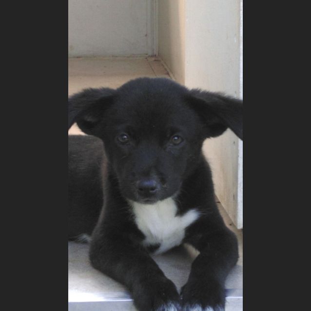 Photo of Mickey