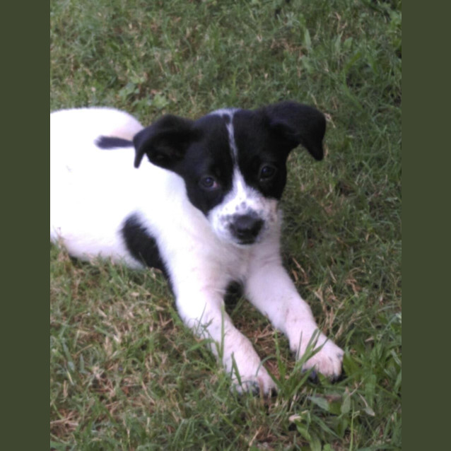 Photo of Sprinkles