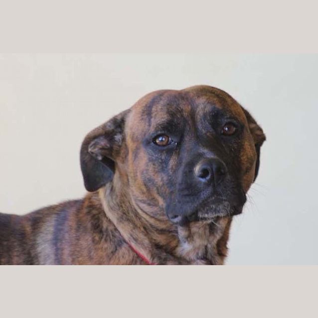 Photo of Roxy