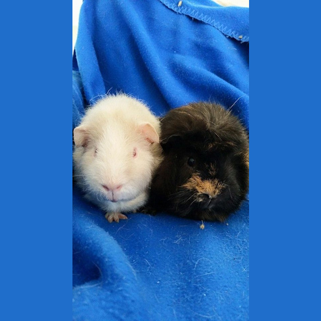 Photo of Sam And Alistar