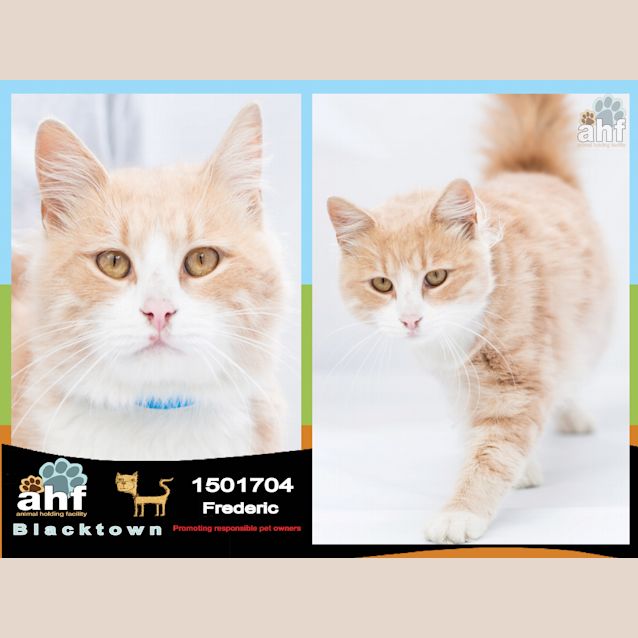 Photo of Frederic ~ #1501704