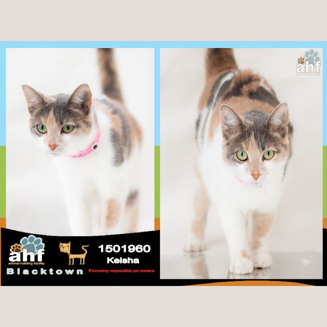 Photo of Keisha ~ #1501960