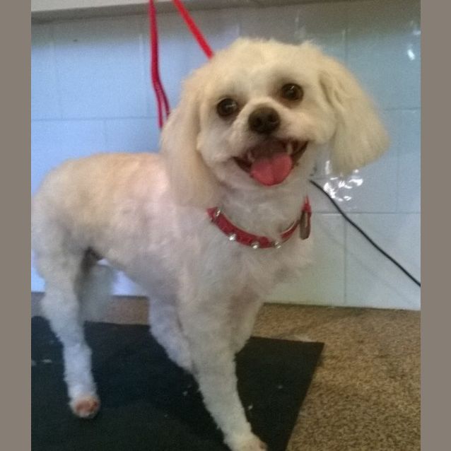 Photo of Molly