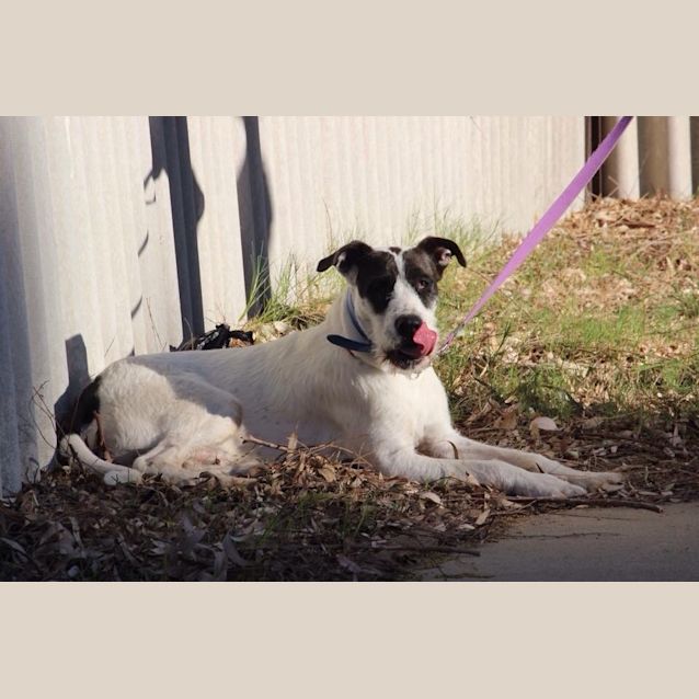 Photo of Arthur Dl928