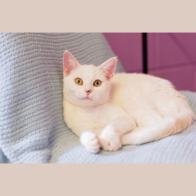 Photo of Skyler
