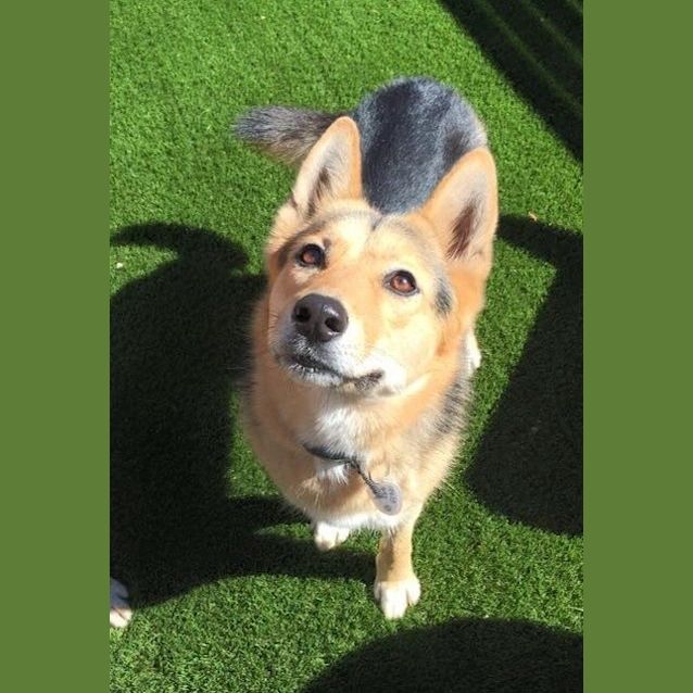 Photo of Ella Dl999