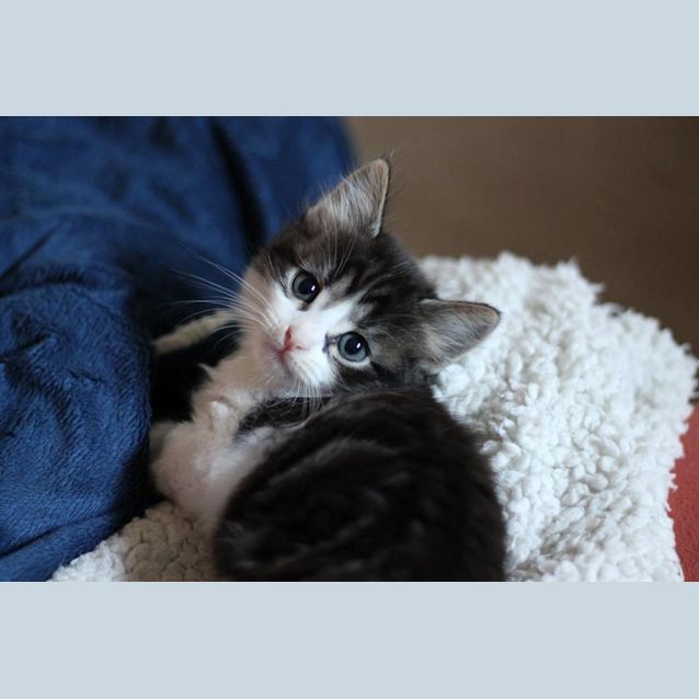 Photo of Lennie