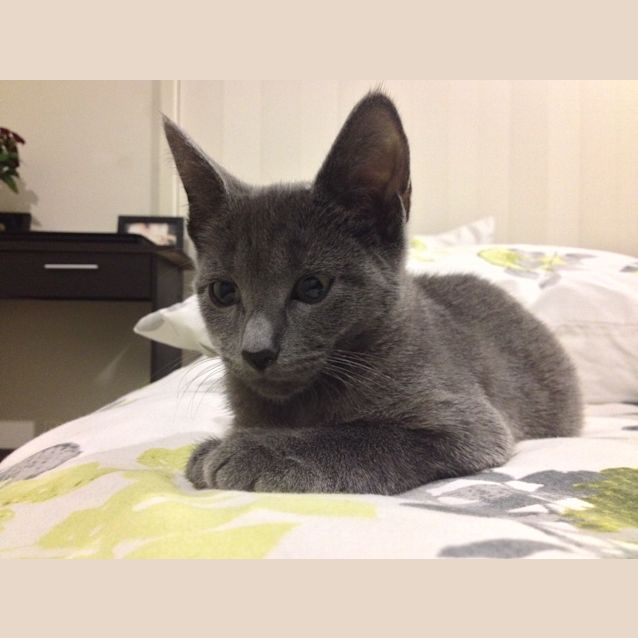 Photo of Ellie