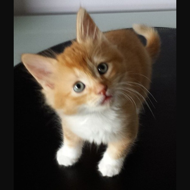 Photo of Ed   'Fluffy Man'