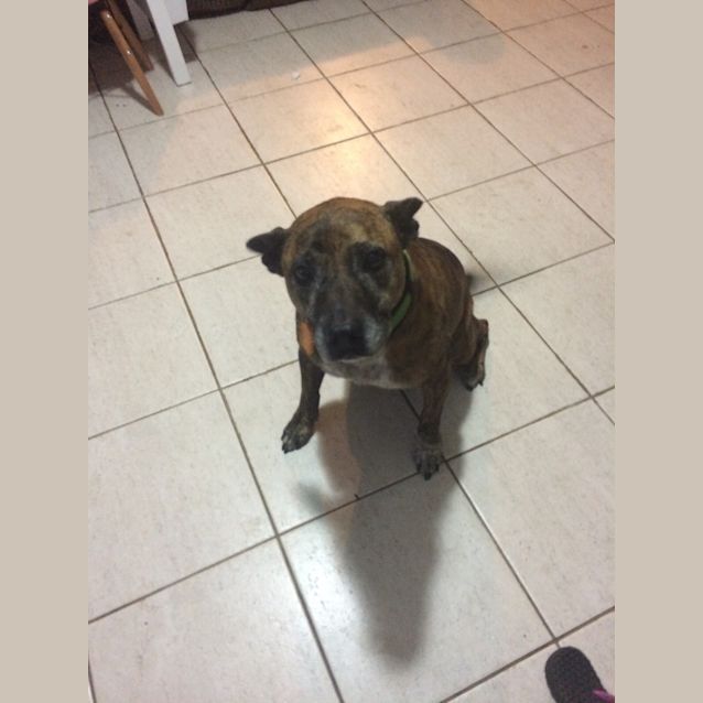 Photo of Reggie