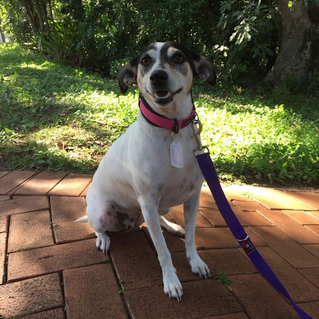 Photo of Missy