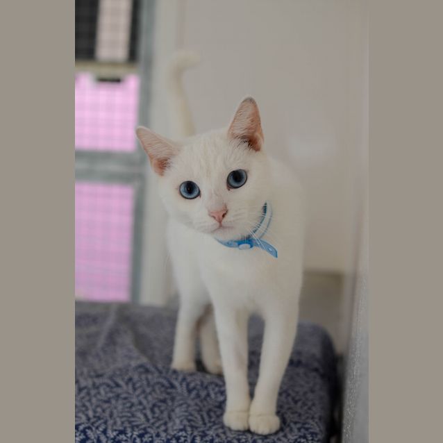 Photo of Lily