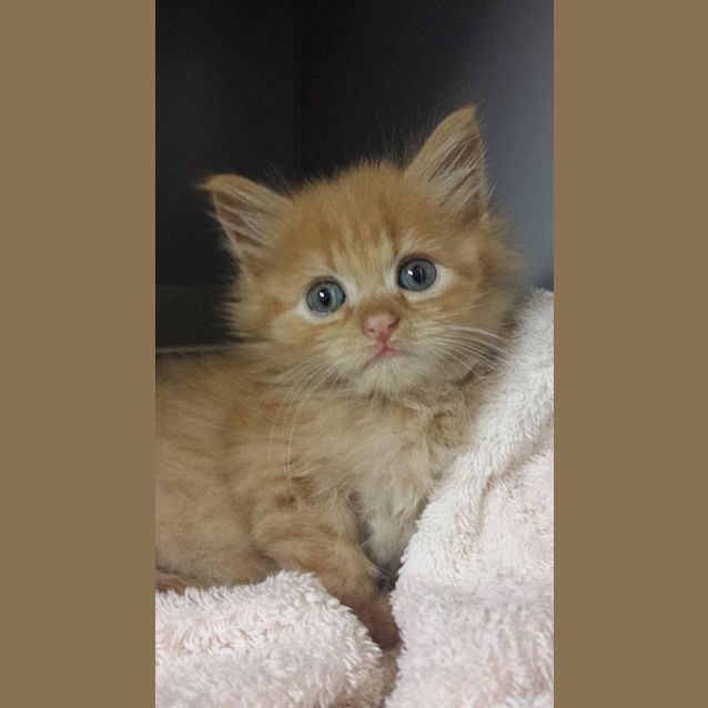 Photo of Ferdinand (Ferdie)