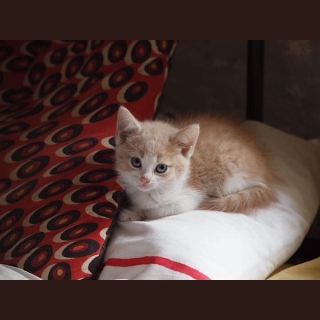 Photo of Anakin