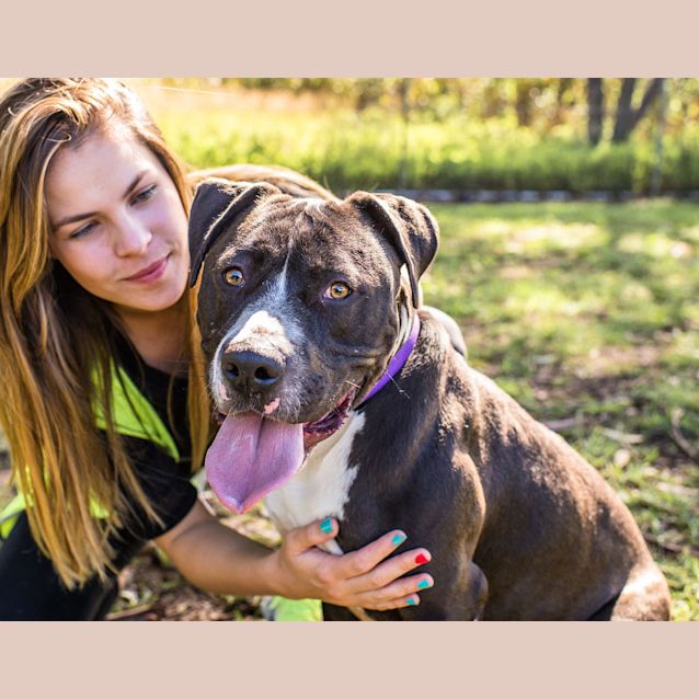 Photo of Bruiser ~ #1500354