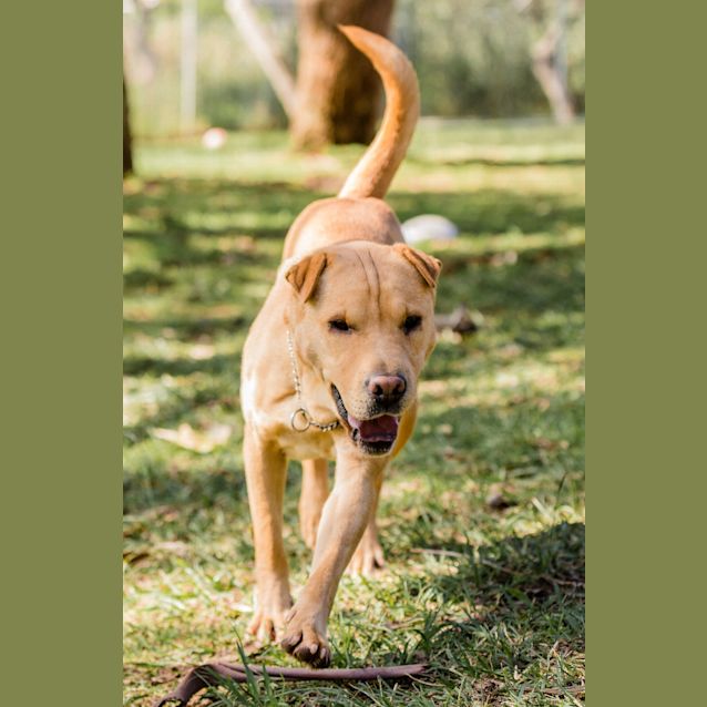 Photo of Bonnie ~ #1501462