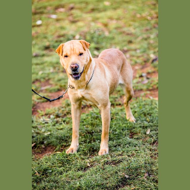 Photo of Bonnie ~ #1501462