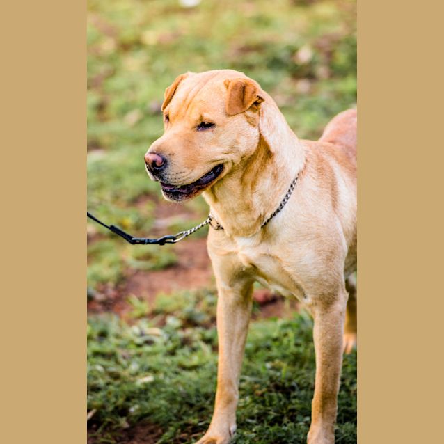 Photo of Bonnie ~ #1501462