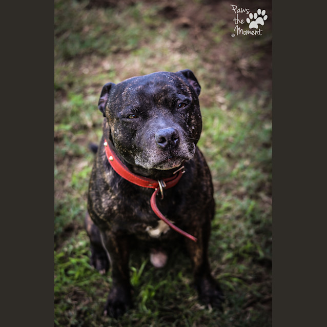 Photo of Chuck ~ #1502020