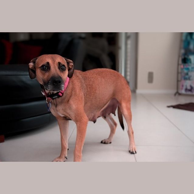 Photo of Pammy 